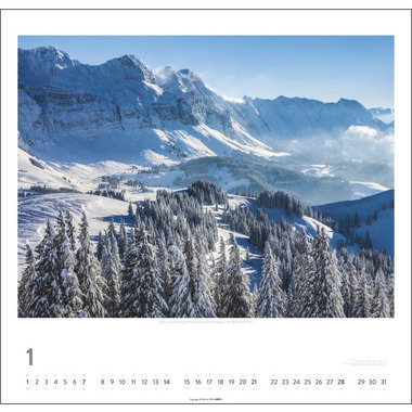 WEINGARTEN Die Schweiz 3312224 DE, 48x46cm 2024