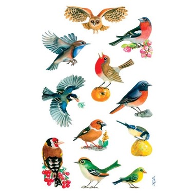 Z-DESIGN Sticker Creative 55713 Vögel 3 Stück