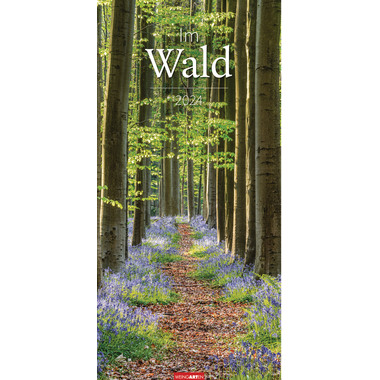 WEINGARTEN Wandkalender Im Wald 3150200 DE, 33x68cm 2024