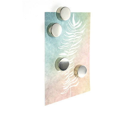 TRENDFORM Magnete SILVER TF2735 silber 4 Stück