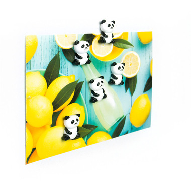 TRENDFORM Aimants PANDA FA4573 noir/blanc 5 pcs.